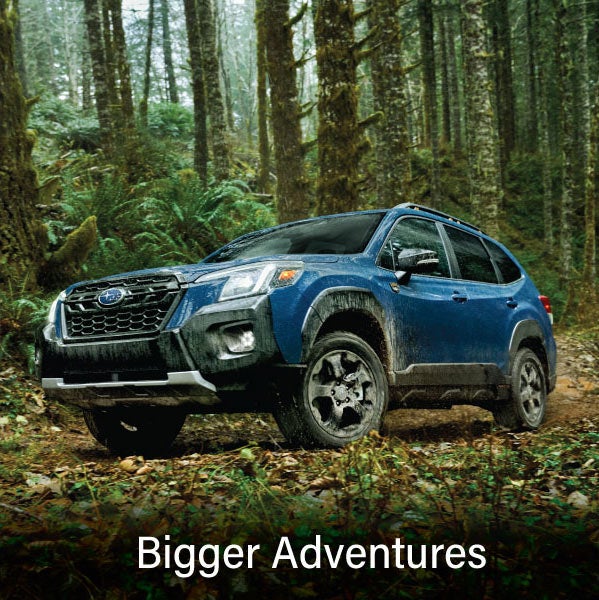 A blue Subaru outback wilderness with the words “Bigger Adventures“. | Island Subaru in Staten Island NY